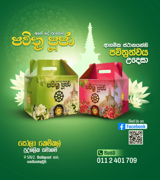 Special Offers
